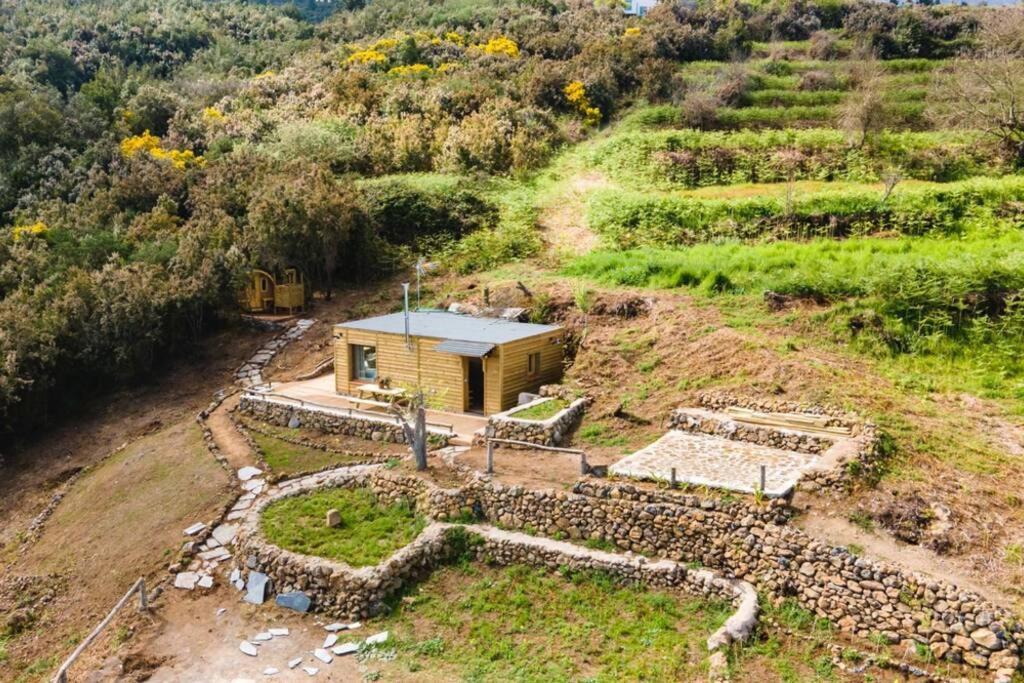 El Pino Centenario 3 La Orotava Exteriér fotografie